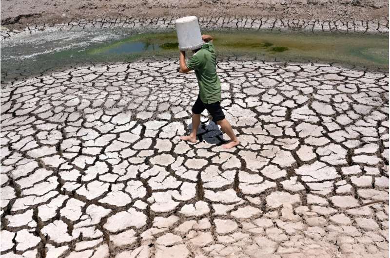 Vietnam Drought: Farmers Battle Water Scarcity and Salinization