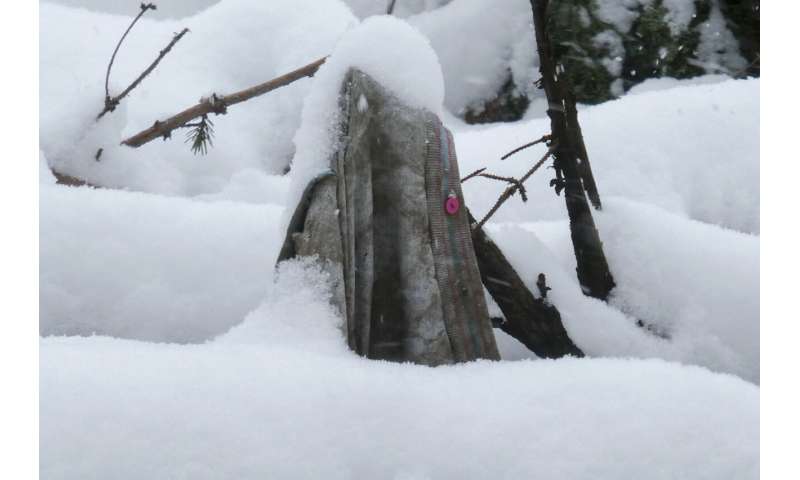 Wrangell, Alaska: Recovery Efforts Underway After Deadly Landslide