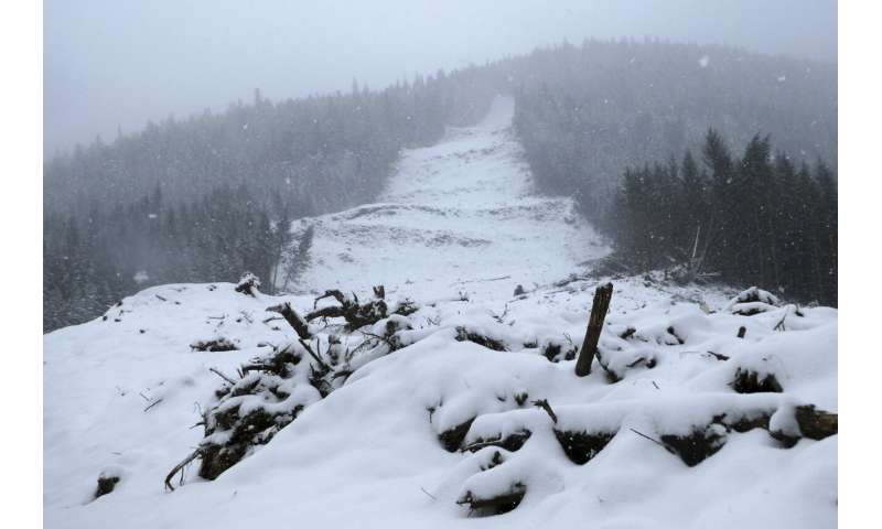 Wrangell, Alaska: Recovery Efforts Underway After Deadly Landslide