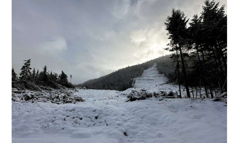 Wrangell, Alaska: Recovery Efforts Underway After Deadly Landslide