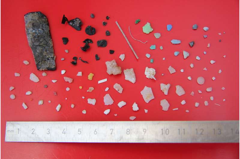 Ocean Plastic Pollution: Study Reveals Widespread Accumulation Beyond Garbage Patches