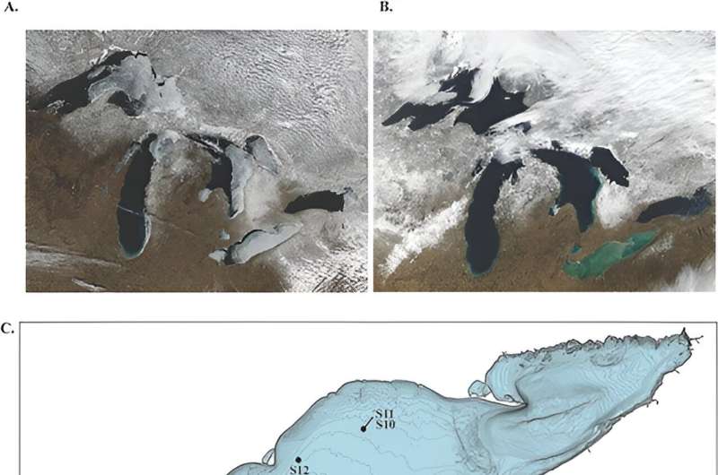 Freshwater Diatom Light Adaptation: A Lake Erie Study