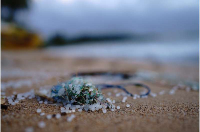 Microplastics and Human Health: New Research Highlights Potential Risks