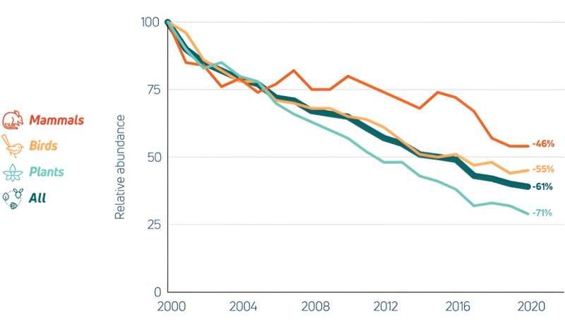 Australia s 2023 Climate Report: Unprecedented Heat and Environmental Changes
