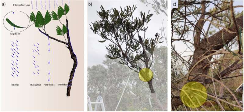 Pour Points in Forests: Understanding Water Flow for Resource Management