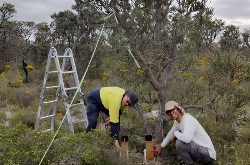 Pour Points in Forests: Understanding Water Flow for Resource Management