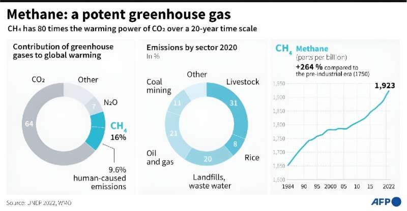 Methane Emissions: Understanding the Climate Impact & Reduction Strategies