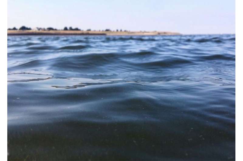 Fort Lauderdale Considers Road Elevation to Combat Rising Sea Levels