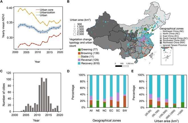Urban Green Spaces: Tracking Vegetation Change in Chinese Cities (2001-2020)