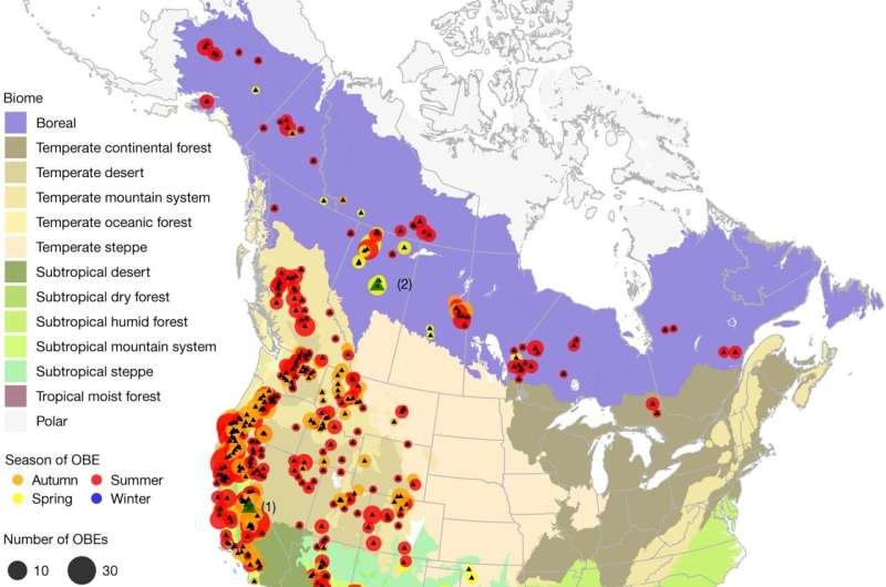 Drought Intensifies Wildfire Burning at Night: New Research