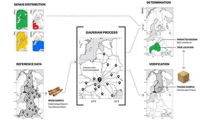 Groundbreaking Timber Analysis Identifies Illegal Logging Origins