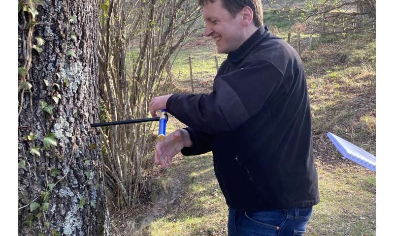 Groundbreaking Timber Analysis Identifies Illegal Logging Origins