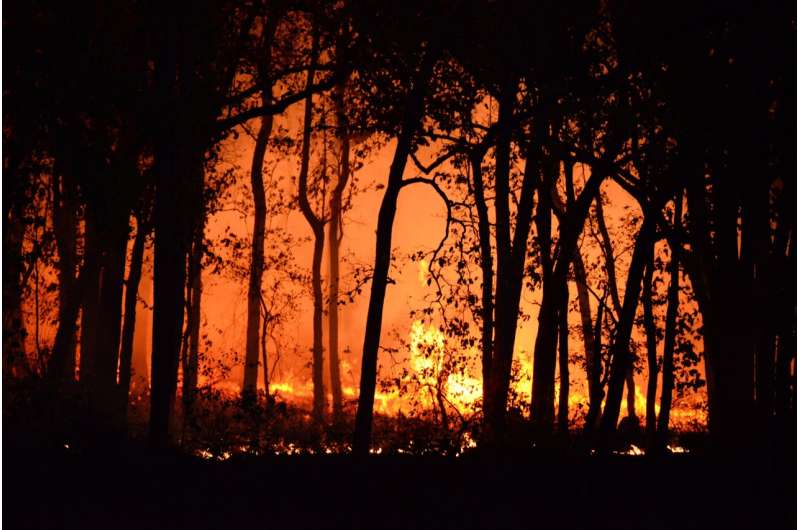 California Wildfire Risk Map: 11 Counties Most Vulnerable - CalMatters
