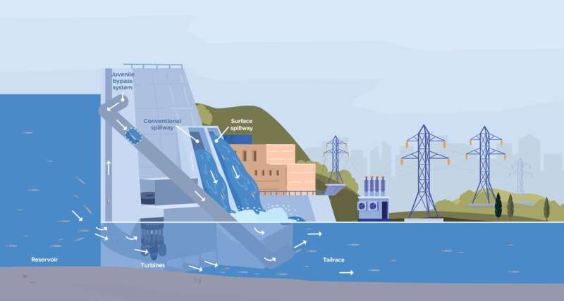 Sustainable Hydropower: Balancing Energy Needs & Fish Passage