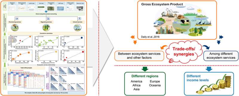 Understanding Ecosystem Services: Synergies, Tradeoffs, and Management