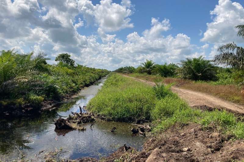 Peatland Drainage Canals: Unexpected Sources of Greenhouse Gas Emissions