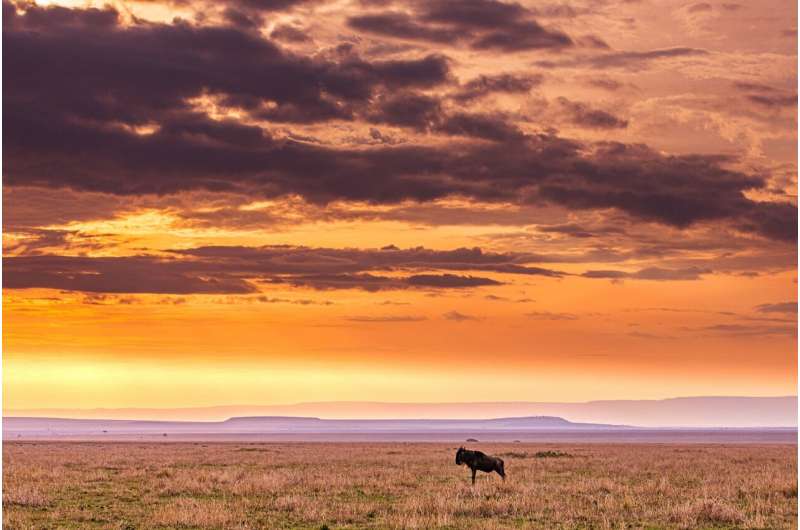 East Africa: Preparing for Increased Rainfall Extremes - Study