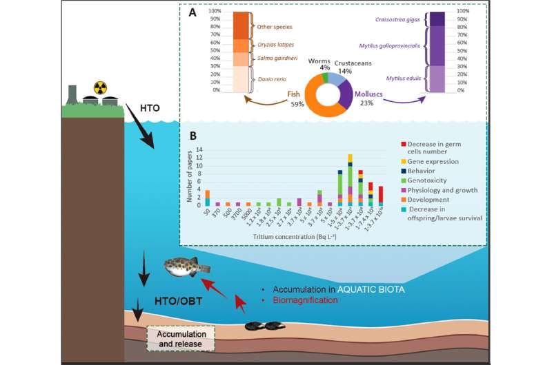 Fukushima Water Contamination: Risks to Human Health and Environment