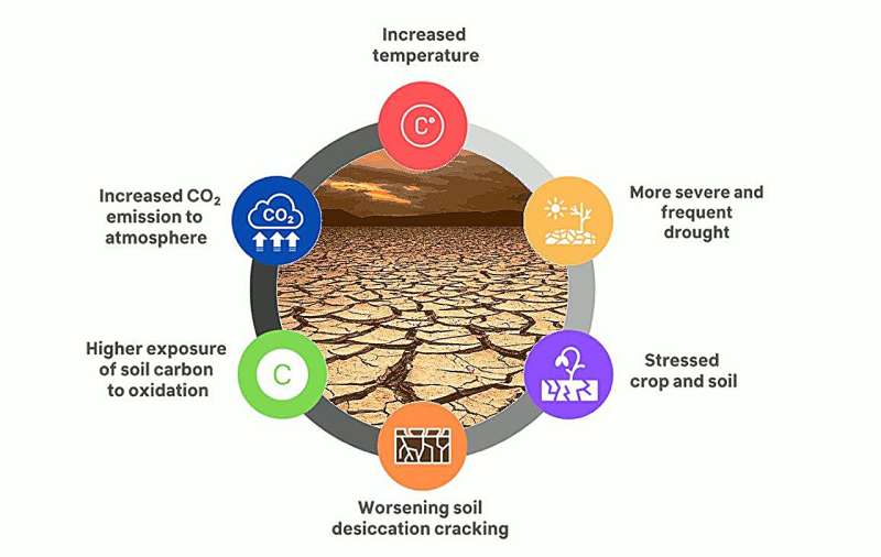 Soil Carbon Release: A Critical Factor in Climate Change Models