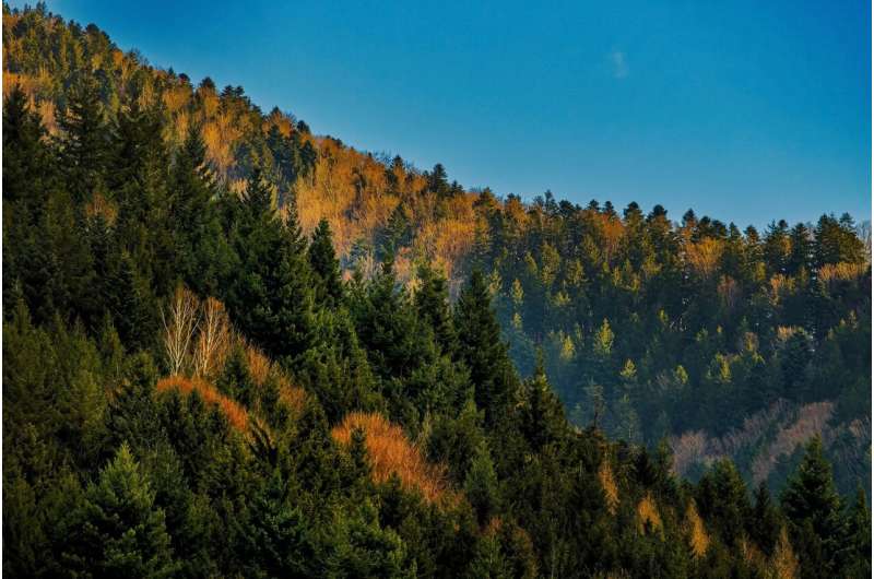 Low-Relief Mountain Ranges: Earth s Largest Carbon Sinks Revealed