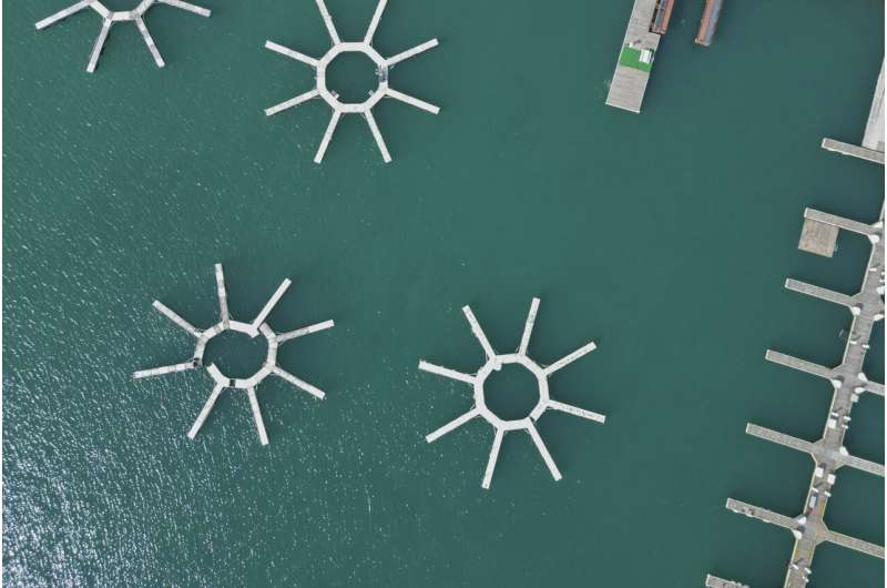 Great Lakes Ice Loss: Scientists Investigate Impacts on Ecosystems