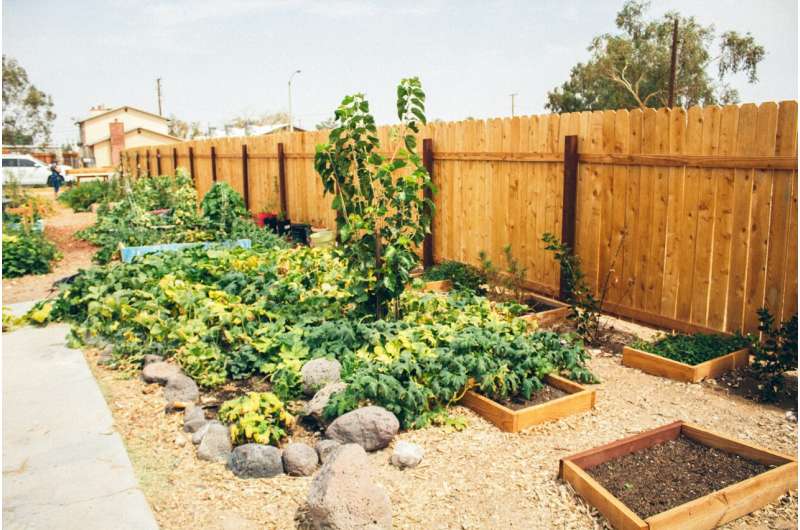 Cultivating Change: How Campus Gardens Foster Environmental Leadership