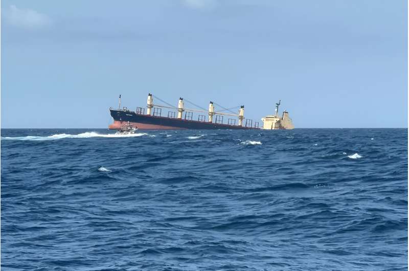 Red Sea Disaster: Sunken Ship Threatens Environmental Catastrophe