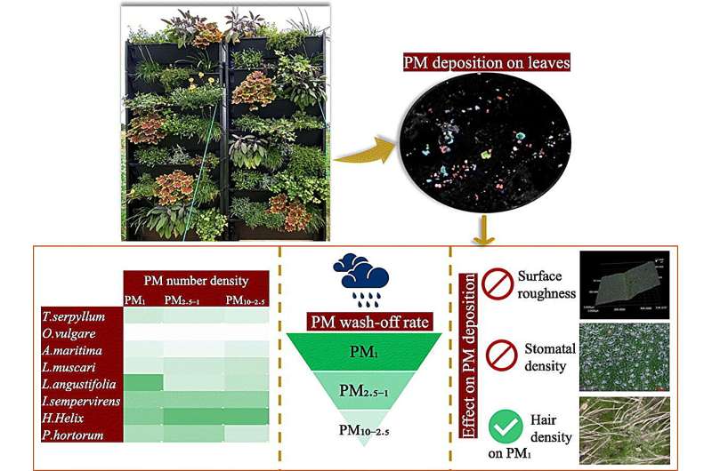 Air-Purifying Green Walls: Research Identifies Best Plant Combinations