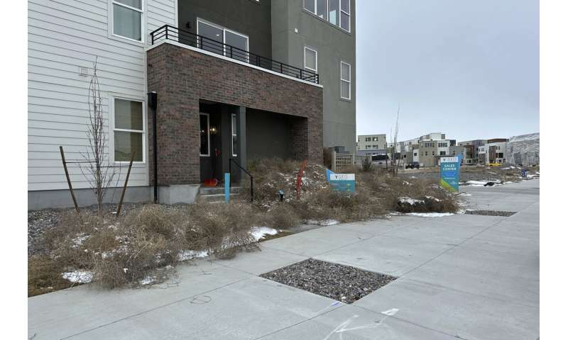 Salt Lake City Overwhelmed by Tumbleweed Storm - Old West Phenomenon Blankets Suburbs