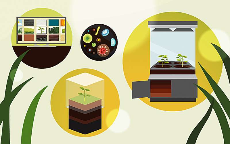 Healthy Soils: A Natural Solution for Long-Term Carbon Storage | Berkeley Lab