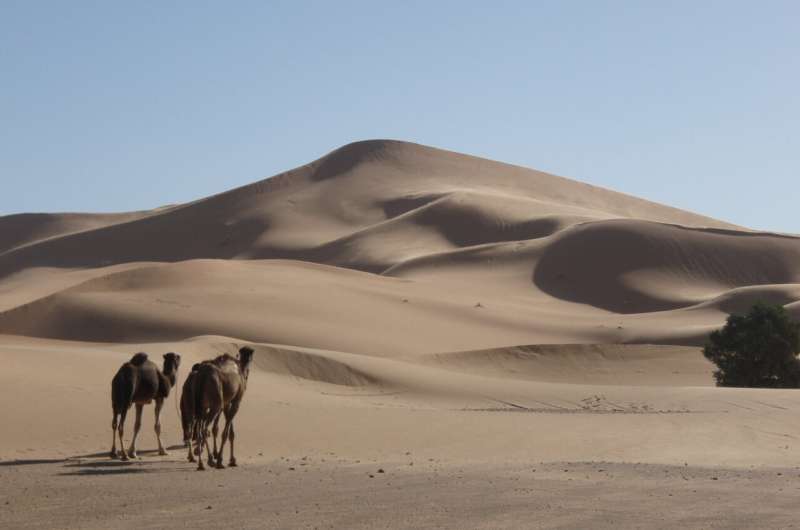 Ancient Discovery Reveals Formation Timeline of Star Dunes