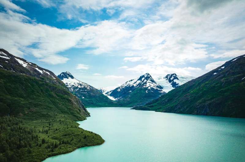 Arctic Sea Ice Loss Linked to Northern Tree Line Expansion | Science