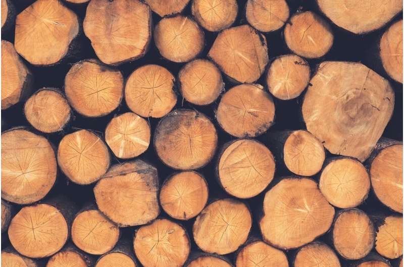 Combating Deforestation: How Business & Finance Can Drive Change | [Source Name]