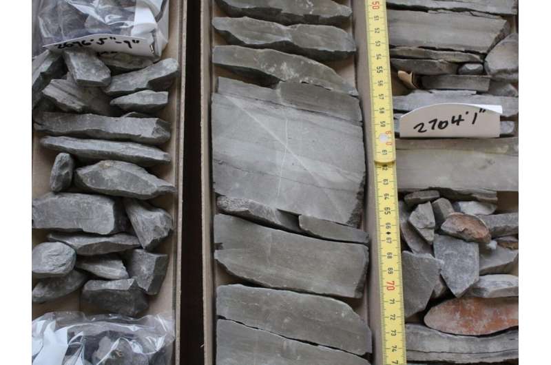 Ancient Volcanoes and Environmental Change: New Insights from Mercury Studies