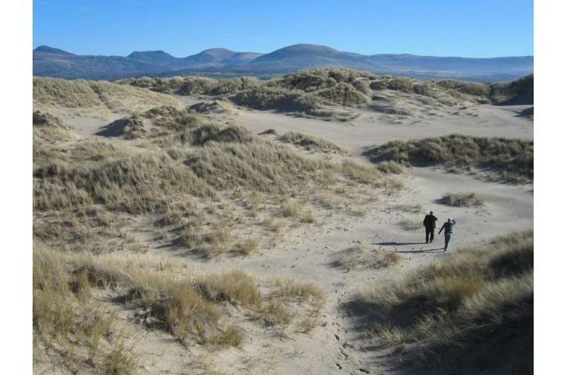 Ancient Volcanoes and Environmental Change: New Insights from Mercury Studies