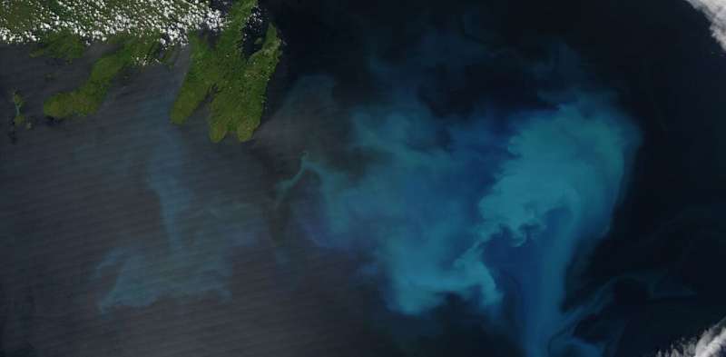 Climate Change Disrupts Ocean s Biological Clock: Impacts and Future Risks