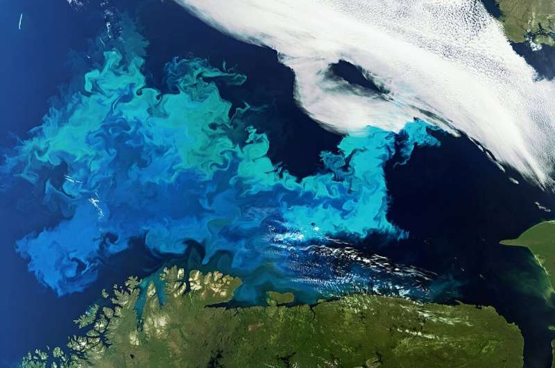 Climate Change Disrupts Ocean s Biological Clock: Impacts and Future Risks