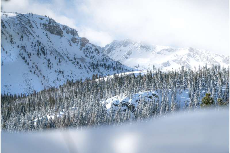 Severe Blizzard Warning Issued for Sierra Nevada: Travel Hazardous