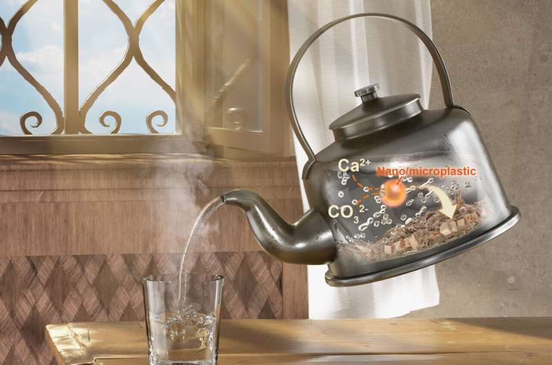 Boiling Water to Reduce Microplastics: A Simple Solution?