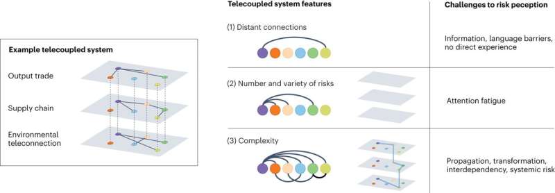 Understanding Risk Perception in Telecoupled Systems: Challenges & Strategies