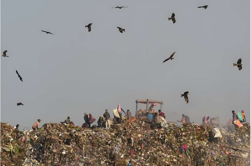 UN Warns of Growing Global Waste Crisis: Urgent Action Needed