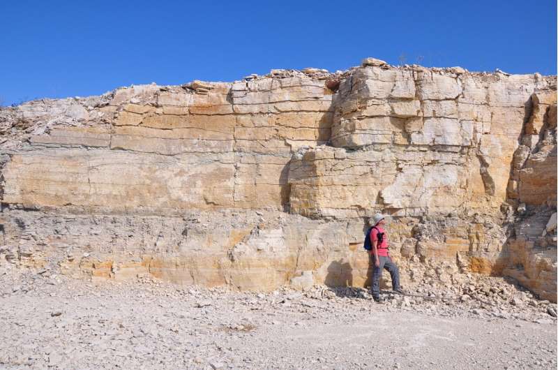 Ancient Tsunami Waves Swept Canadian Prairies Millions of Years Ago - USask Research