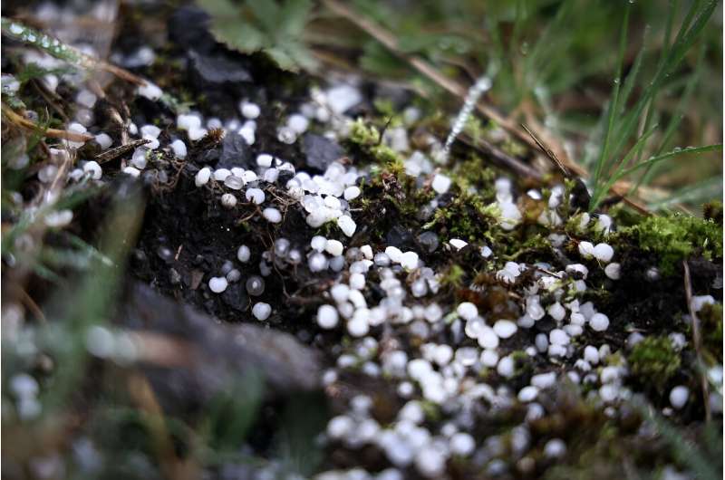 Ecaussinnes, Belgium: Microplastic Pollution Crisis & EU Response