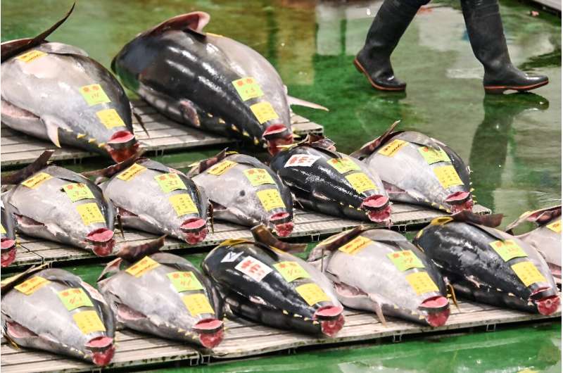 WTO Ministerial Conference: Fisheries & Agriculture Talks in Abu Dhabi