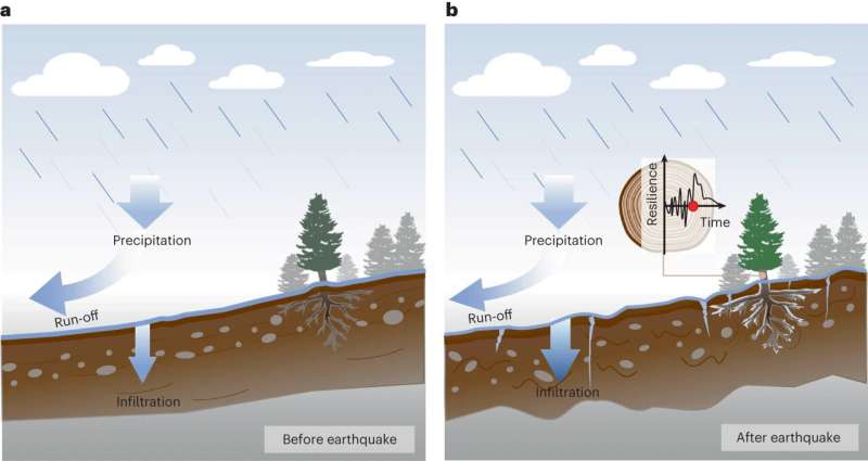 Earthquake Impacts on Forest Resilience: Long-Term Effects & Soil Dynamics