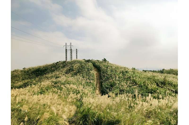 Sustainable Future: Reclaiming Land by Reducing Meat Consumption