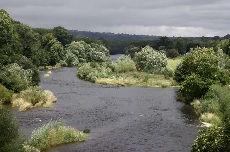 England s Rivers in Crisis: Pollution Threatens Water Quality - Rivers Trust Report