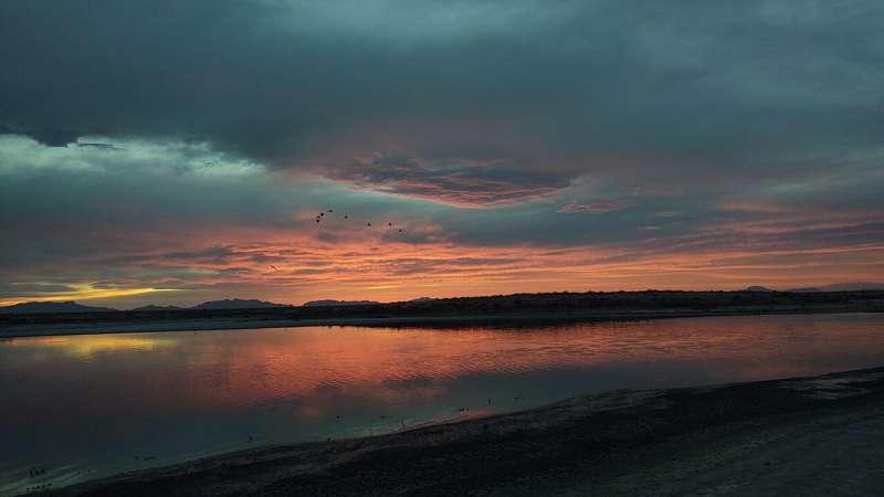 Persistent PFAS Contamination Found in Wildlife at Holloman Air Force Base