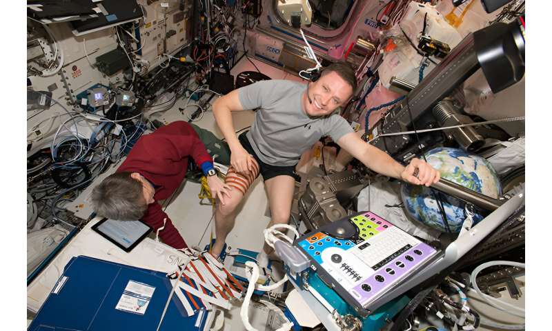 Exercise for Astronaut Health: Maintaining Bone & Muscle in Space