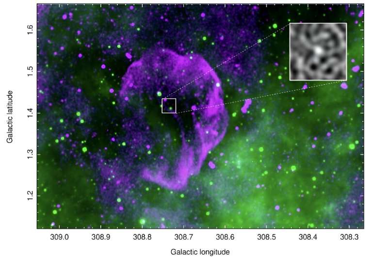 Astronomers Identify Potential Supernova Remnant Candidate  Raspberry  with ASKAP